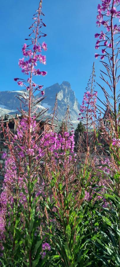 Maison Meynet Mountain Charm Breuil-Cervinia Dış mekan fotoğraf