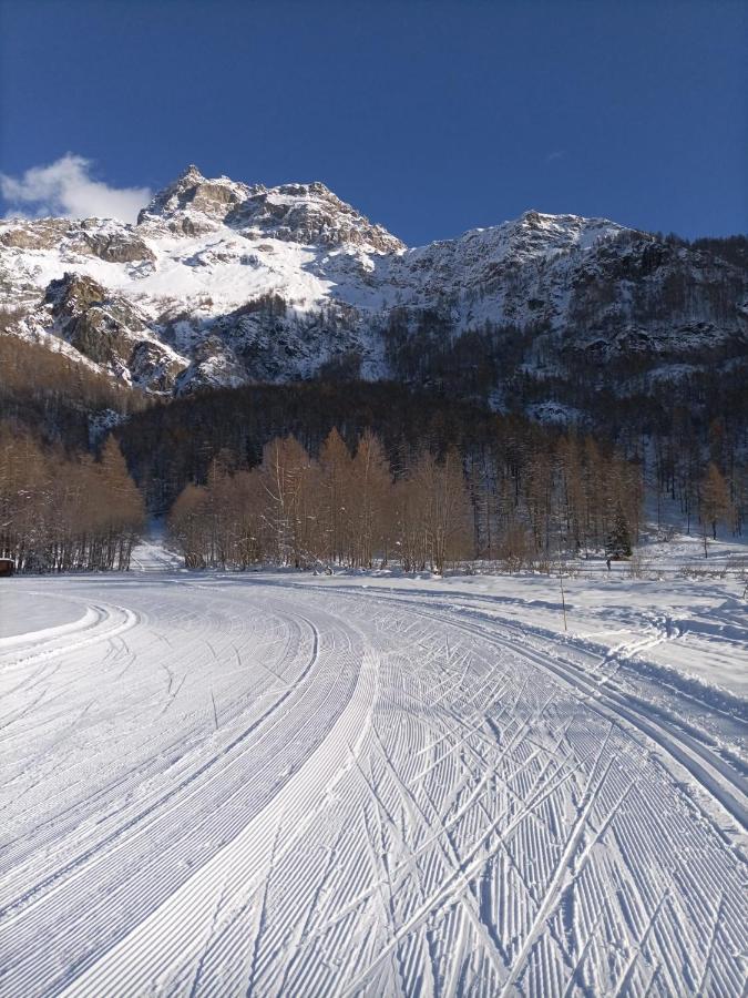 Maison Meynet Mountain Charm Breuil-Cervinia Dış mekan fotoğraf